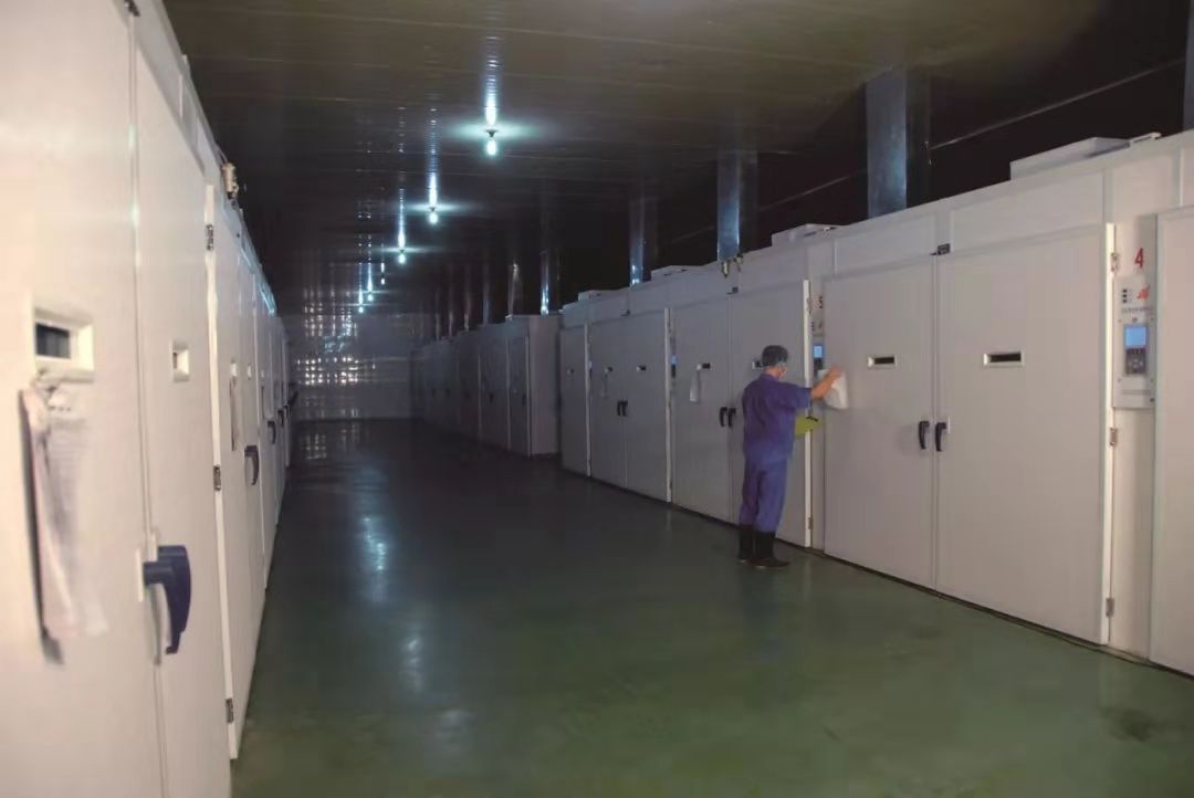 首页- 不朽情缘电子游戏官网