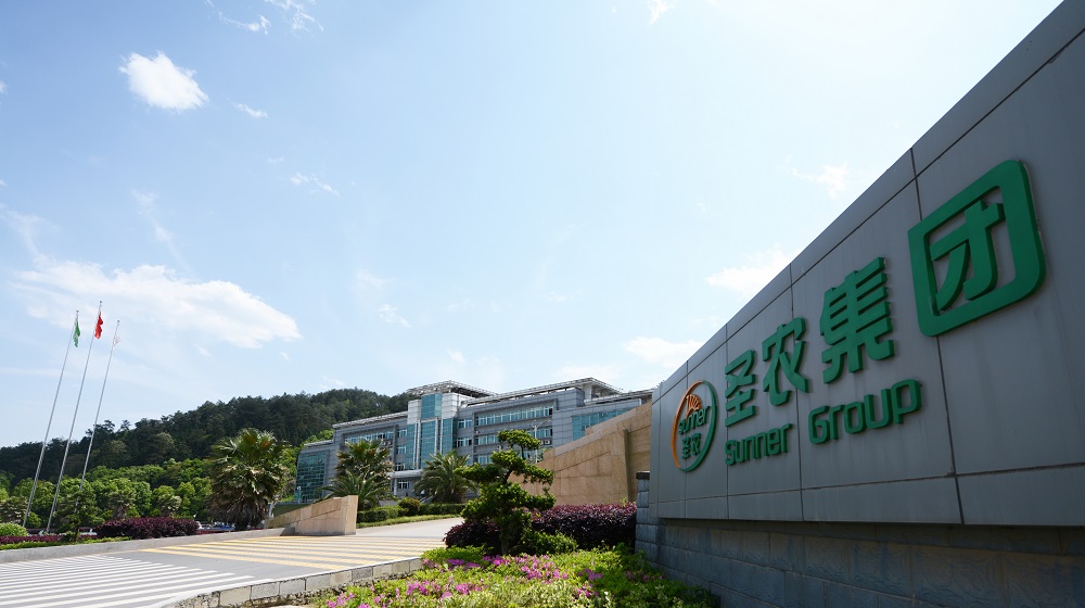 首页- 不朽情缘电子游戏官网