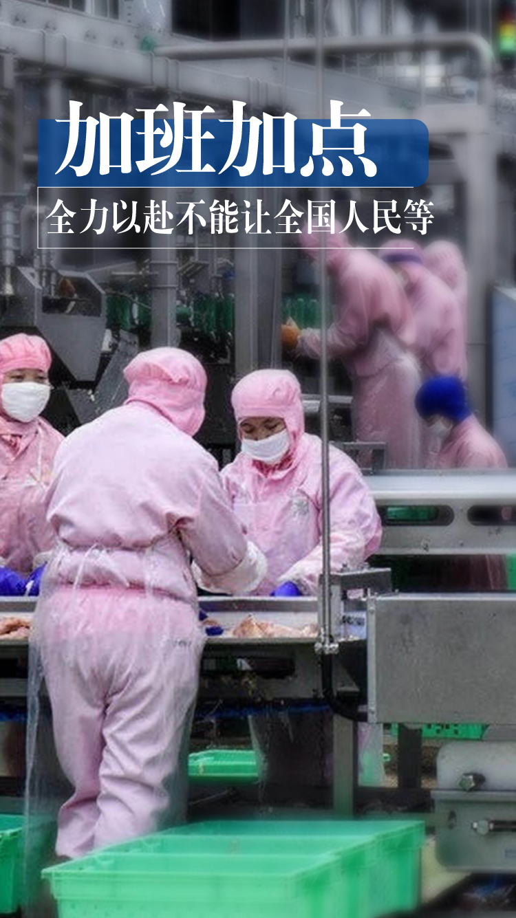 首页- 不朽情缘电子游戏官网