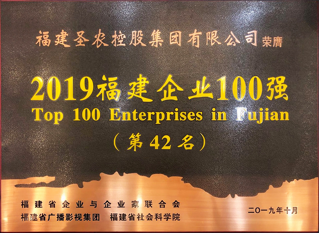 2019（不朽情缘集团）福建企业100强